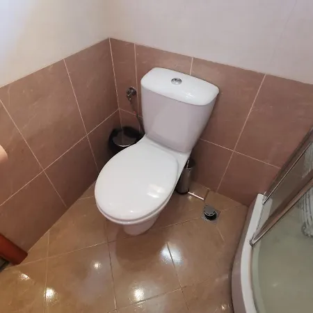 албиция 3*