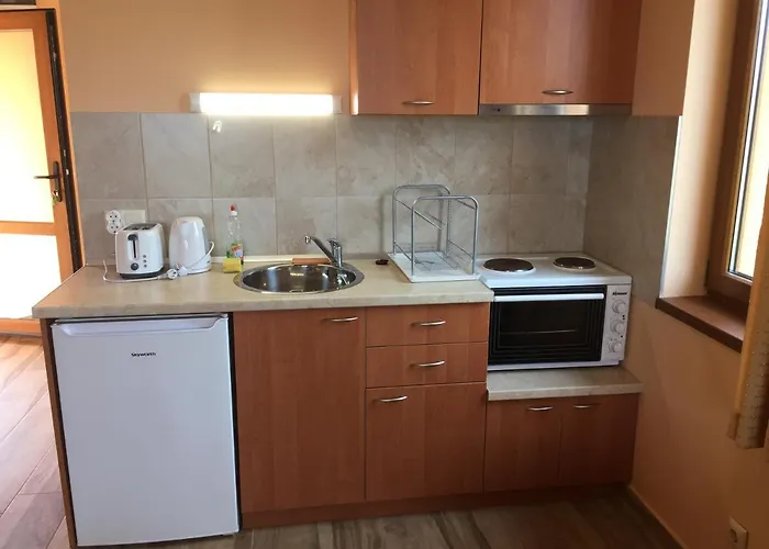 албиция Pensión Sinemoretz